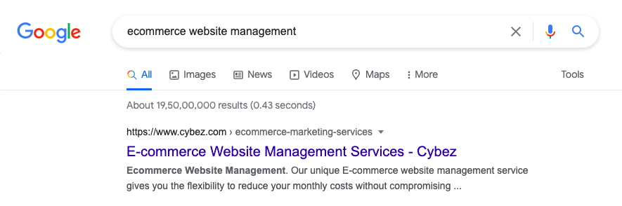 E-commerce Website Management